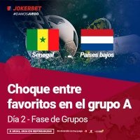 Senegal Vs Paises Bajos