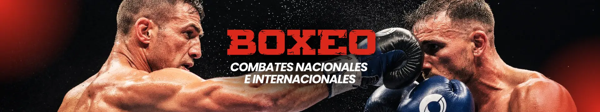 Apuestas de Boxeo Online en JOKERBET.es