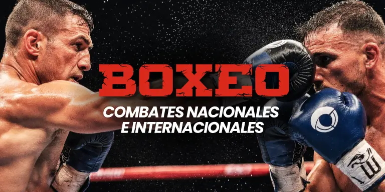 Apuestas de Boxeo Online en JOKERBET.es