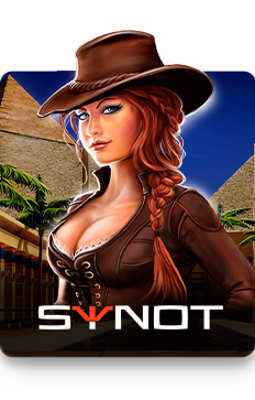 Tarjeta proveedor Synot