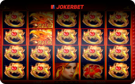 juegos de casino y slots destacados en jokerbet