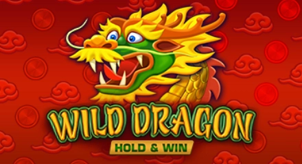 Wild Dragon Hold & Win - Juego de tragaperras de Amatic 