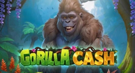 Gorilla Cash Buy Bonus - Juego de tragaperras de Novomatic 