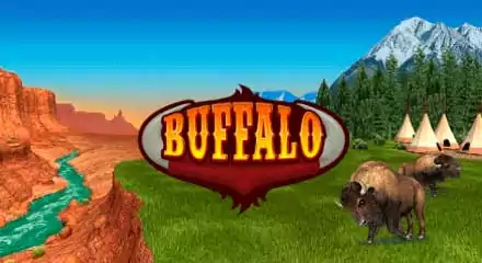 Tragaperras-slots - Bingo Buffalo